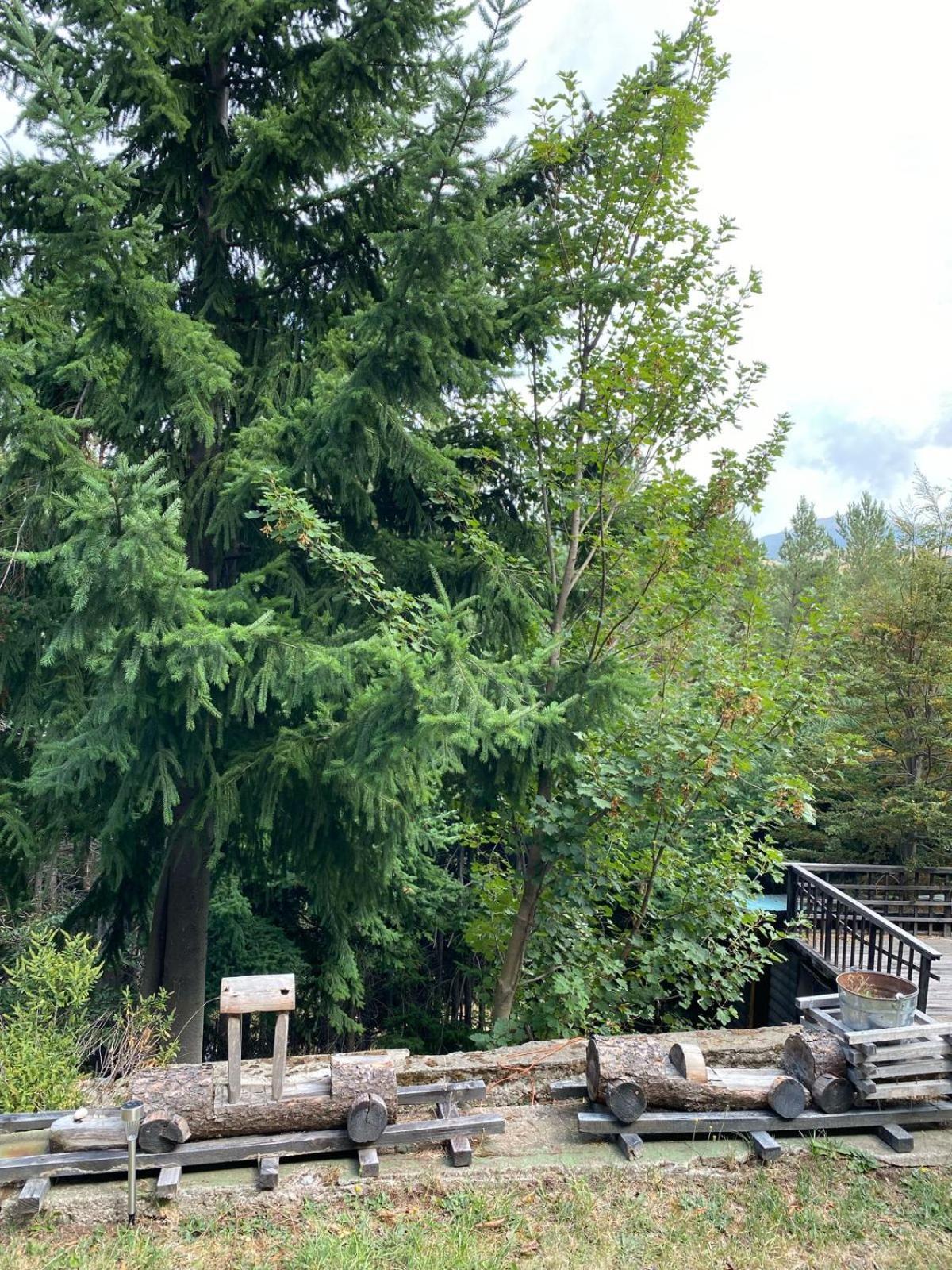 The Patagonian Lodge Coyhaique Exterior foto
