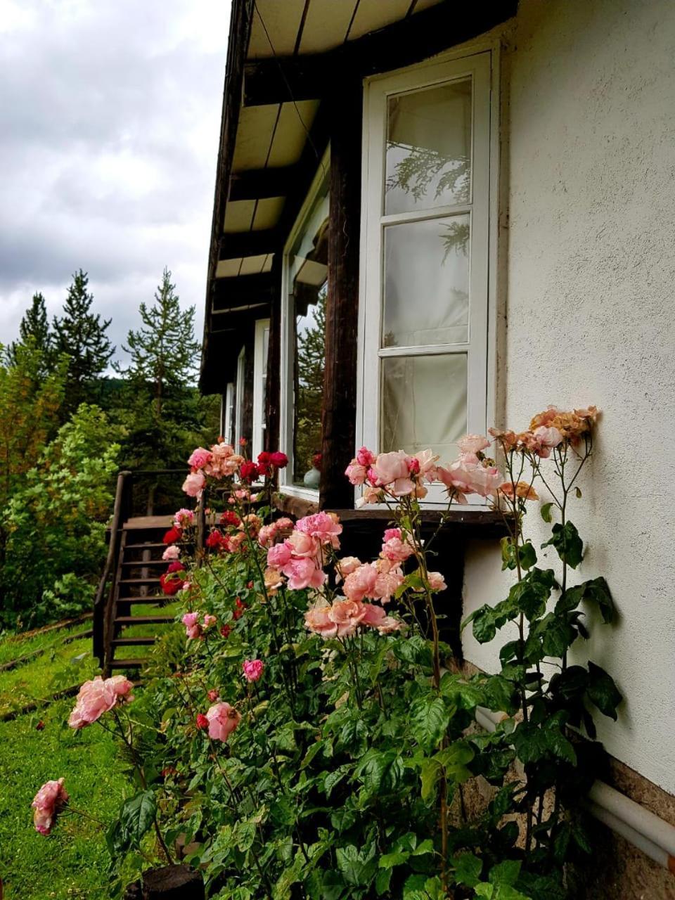 The Patagonian Lodge Coyhaique Exterior foto